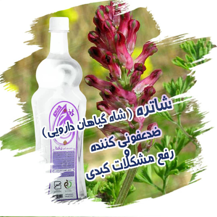 شاطره ، عرق شاطره