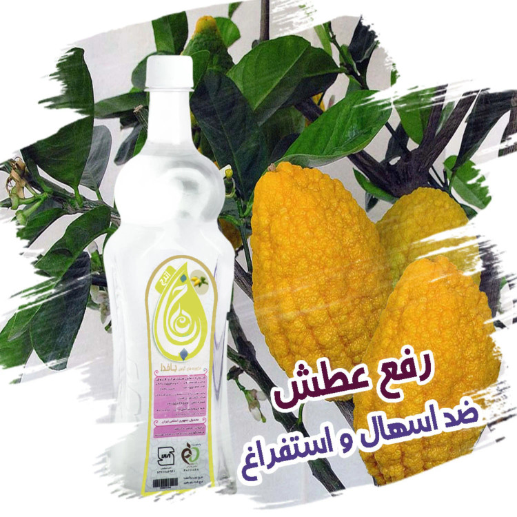 اترج ، خرید اینترنتی اترج