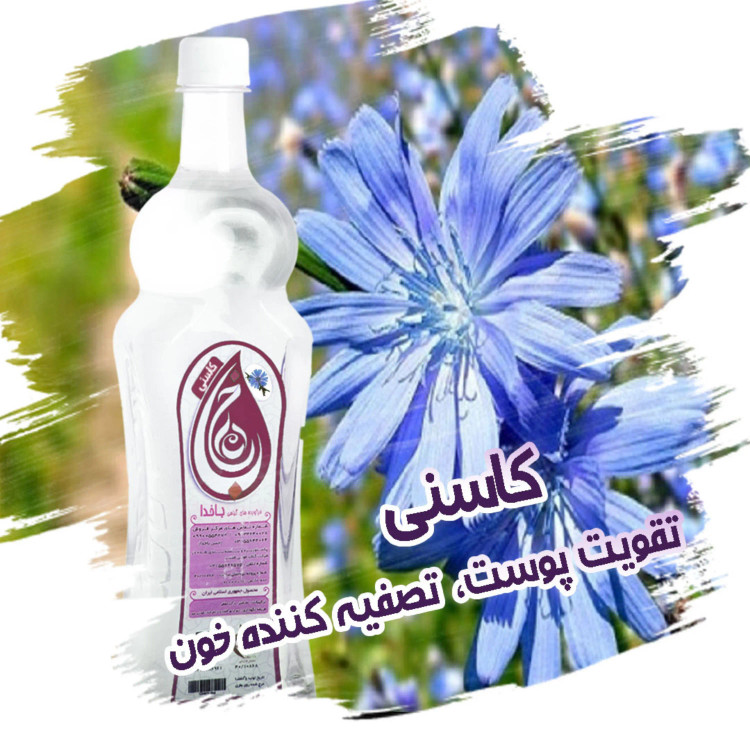 کاسنی ، خرید اینترنتی کاسنی ، درمان ضعف چشم