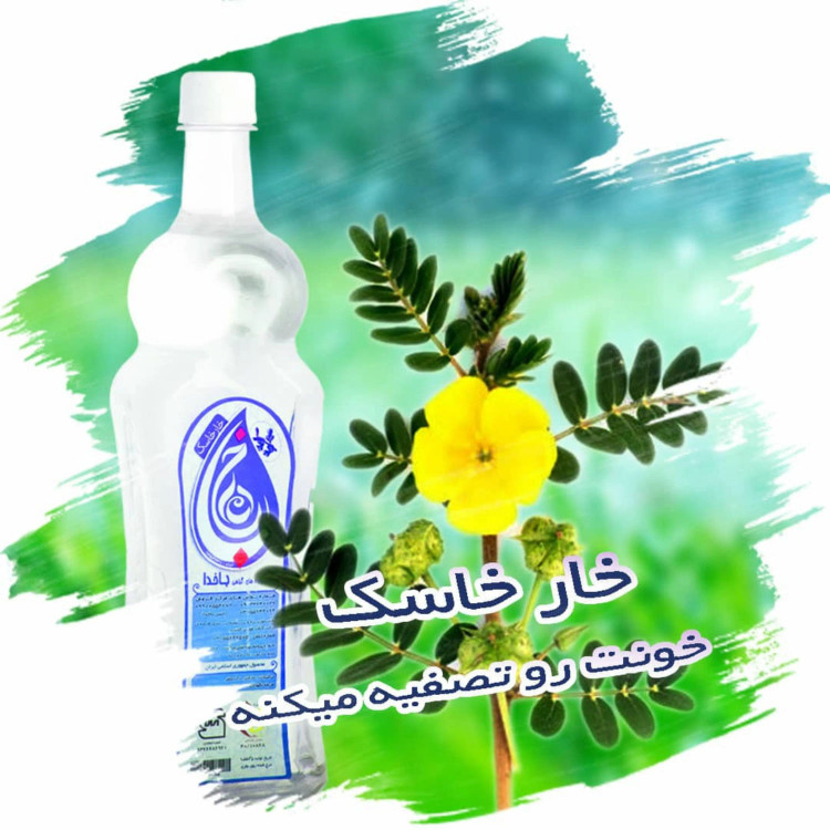 خارخاسک ، قیمت خارخاسک ، شکننده سنگ کلیه ، کاهش قند خون