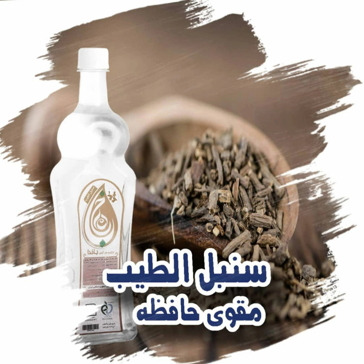سنبل الطیب ، خرید سنبل الطیب ، رفع افسردگی ، بهبود حافظه