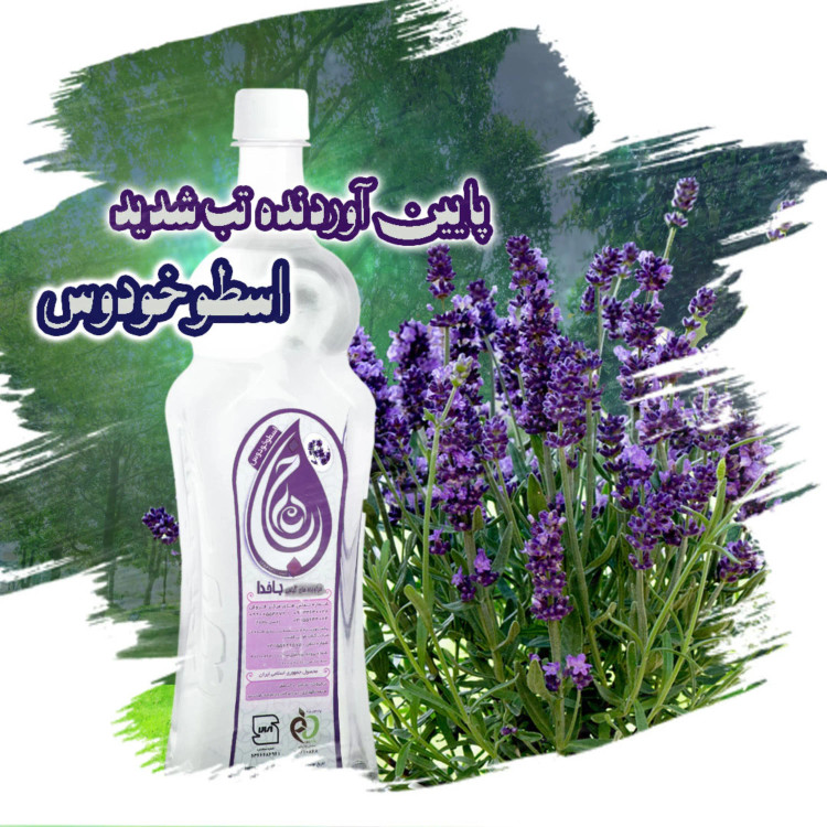 اسطوخودوس ، خرید اینترنتی اسطوخودوس ، کنترل استرس