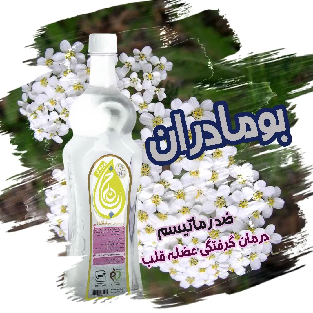 بومادران، خرید بومادران ، رماتیسم ، درمان درد استخوان