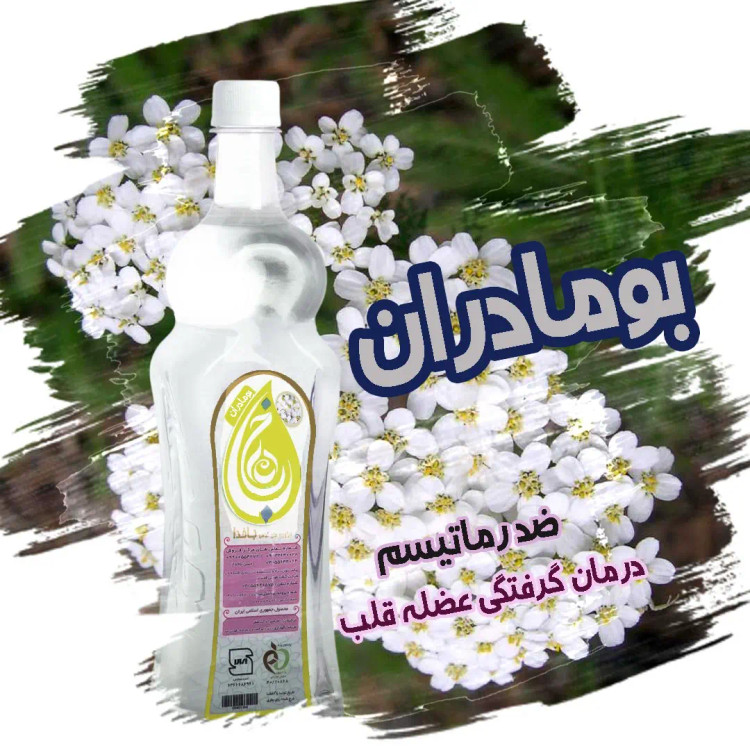 بومادران، خرید بومادران ، رماتیسم ، درمان درد استخوان