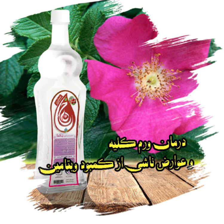 نسترن ، قیمت عرق نسترن ، تسکین سردرد و سرگجه